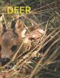 Deer - Preview