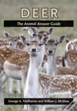 Capa do artigo Deer