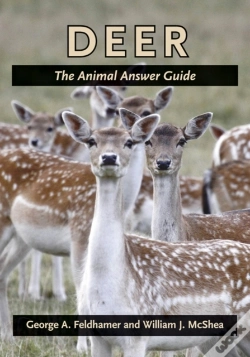 Capa do artigo Deer