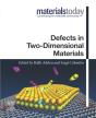 Defects In Two-Dimensional Materials - Preview