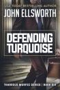 Defending Turquoise - Preview