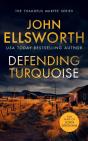 Defending Turquoise - Preview