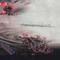 Defied Perspective - Preview