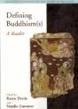 Defining Buddhism(S) - Preview