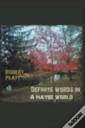 Capa do artigo Definite Words In A Maybe World