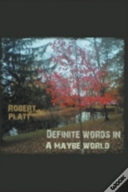 Capa do artigo Definite Words In A Maybe World