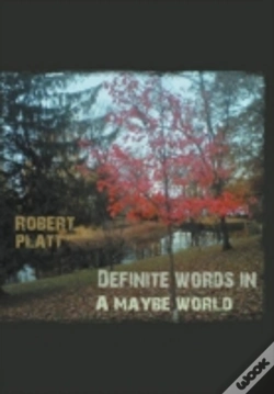 Capa do artigo Definite Words In A Maybe World