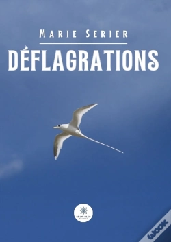 Capa do artigo Deflagrations