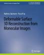 Deformable Surface 3d Reconstruction From Monocular Images - Preview
