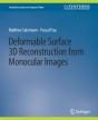 Deformable Surface 3d Reconstruction From Monocular Images - Preview