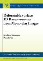 Deformable Surface 3d Reconstruction From Monocular Images - Preview