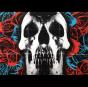 Deftones - Vinil - Preview