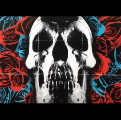 Capa do artigo Deftones - Vinil