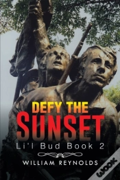 Capa do artigo Defy The Sunset