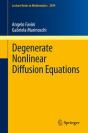 Degenerate Nonlinear Diffusion Equations - Preview