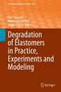 Degradation Of Elastomers In Practice, Experiments And Modeling - Preview
