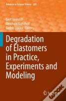 Degradation Of Elastomers In Practice, Experiments And Modeling