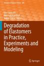 Degradation Of Elastomers In Practice, Experiments And Modeling - Preview