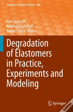 Capa do artigo Degradation Of Elastomers In Practice, Experiments And Modeling