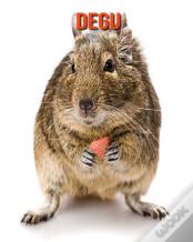 Degu