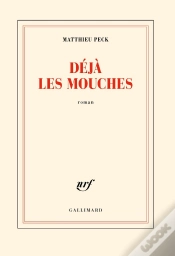Capa do artigo Déjà Les Mouches