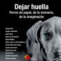 Dejar Huella - Preview