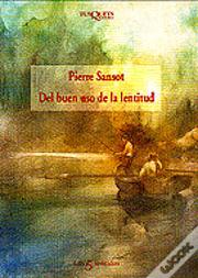 Del Buen Uso De La Lentitud