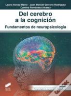 Del Derecho A La Cognicion Fundamentos De Neuropsicologia