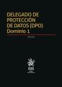 Delegado De Protección De Datos (Dpo) Dominio1 - Preview