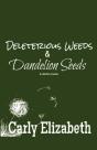 Deleterious Weeds And Dandelion Seeds - Preview