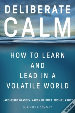 Capa do artigo Deliberate Calm