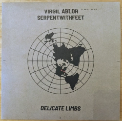 Capa do artigo Delicate Limbs - Vinil