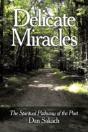 Delicate Miracles: The Spiritual Pathway - Preview