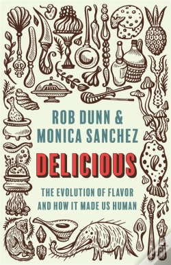Capa do artigo Delicious
