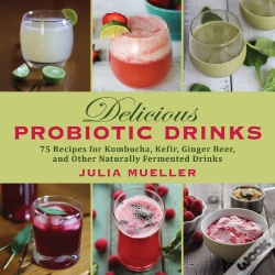 Capa do artigo Delicious Probiotic Drinks