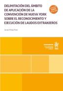 Delimitacion Del Ambito De Aplicacion De La Convencion