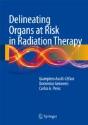 Delineating Organs At Risk In Radiation Therapy - Preview