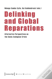 Capa do artigo Delinking And Global Reparations