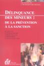 Délinquance Des Mineurs ; De La Prévention À La Sanction - Preview