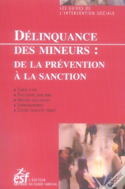 Capa do artigo Délinquance Des Mineurs ; De La Prévention À La Sanction