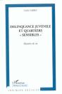 Delinquance Juvenile Et Quartiers Sensibles ; Histoire De Vie - Preview