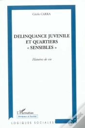 Capa do artigo Delinquance Juvenile Et Quartiers Sensibles ; Histoire De Vie