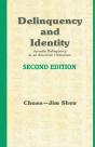 Delinquency And Identity - Preview