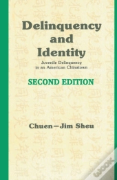 Delinquency And Identity