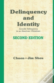 Capa do artigo Delinquency And Identity