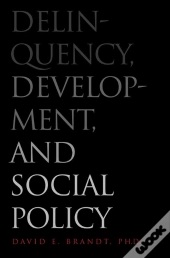 Delinquency, Development, And Social Policy