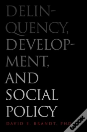 Capa do artigo Delinquency, Development, And Social Policy