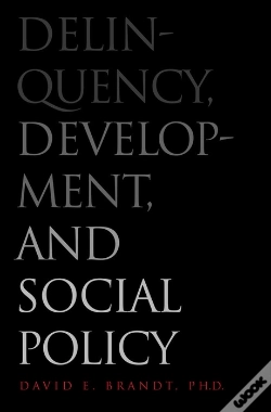 Capa do artigo Delinquency, Development, And Social Policy
