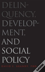 Capa do artigo Delinquency, Development, And Social Policy
