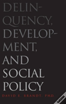 Capa do artigo Delinquency, Development, And Social Policy